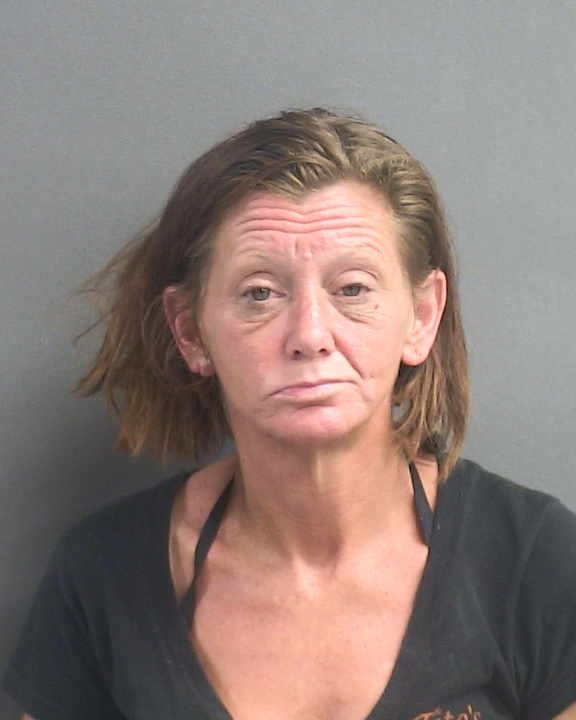 Booking photograph for MELISSA FRANCES YOUNG