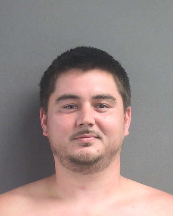 Booking photograph for DALLAS BLAKE PALMER