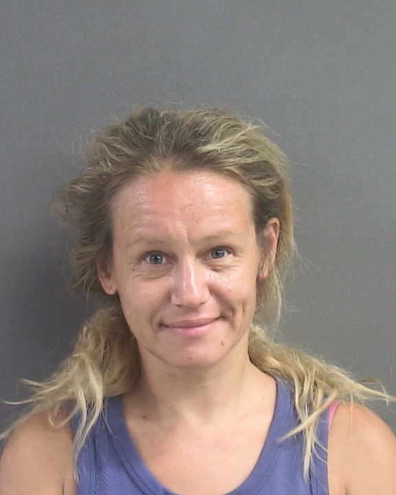 Booking photograph for ELENA V LAEVSKAYA