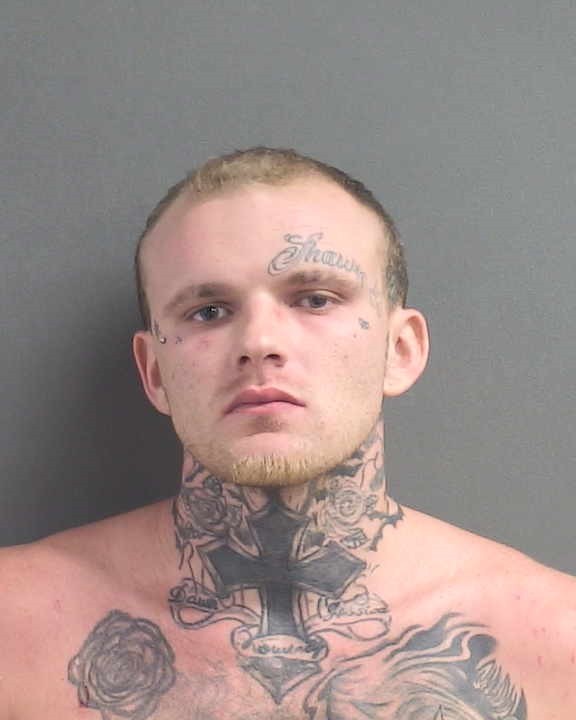 Booking photograph for TRAVIS JAMES HAMLIN