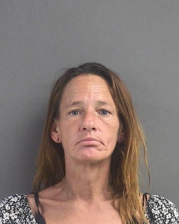 Booking photograph for APRIL DIANE WILSON