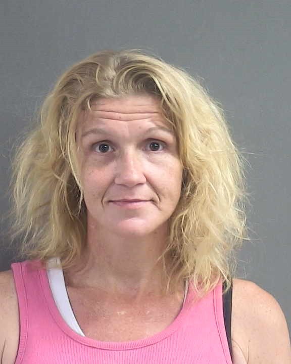 Booking photograph for IVY LEE BENTZ