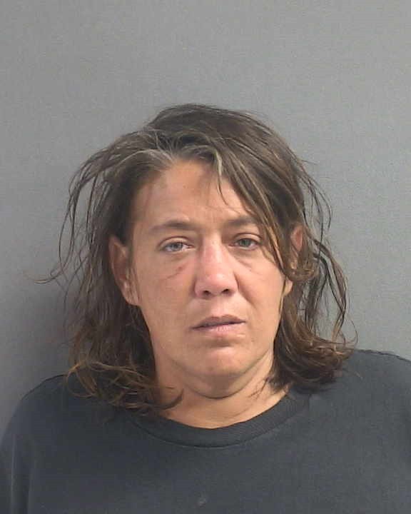 Booking photograph for MARY A FORSYTHE