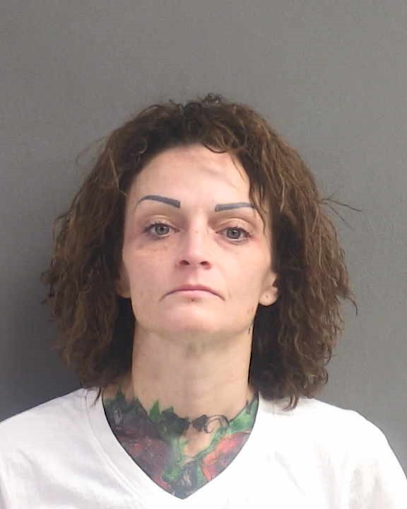Booking photograph for BRANDY LEE HODIL