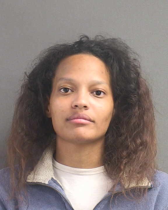 Booking photograph for ELIZABETH JUANITA AROCHO