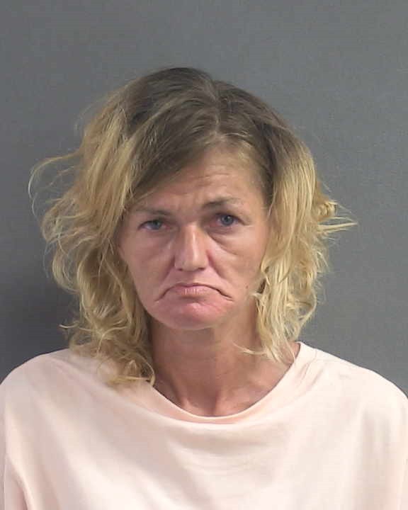 Booking photograph for SHAUNA L COLLINS
