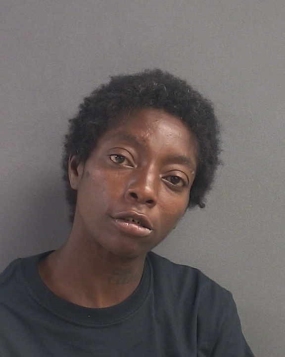 Booking photograph for LOUISA YVETT NEKESHA MCDOWELL
