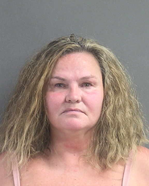 Booking photograph for BARBARANN STACEY FREESE
