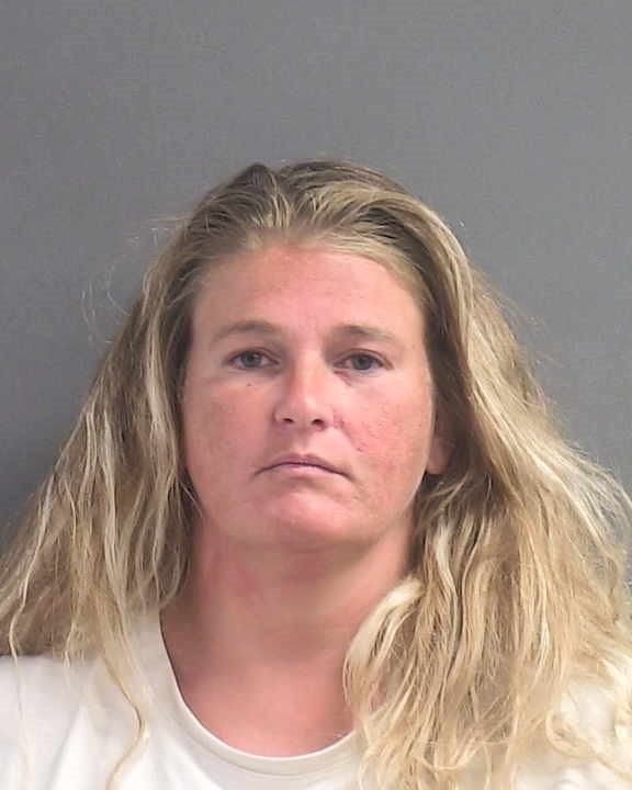 Booking photograph for ERICA M BRIGHT