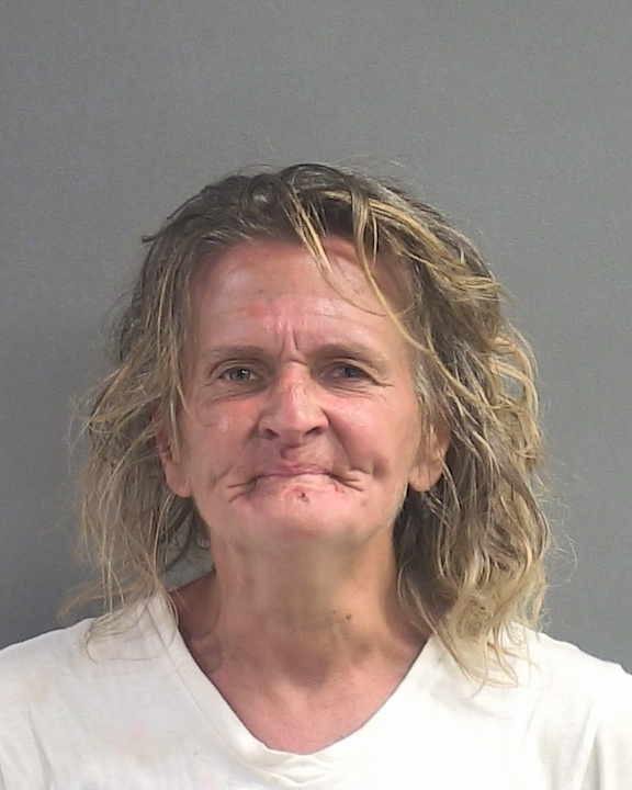 Booking photograph for HEIDI MASON HEMPHILL