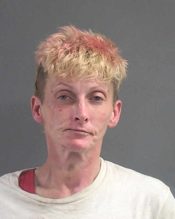 Booking photograph for AMY NICOLE COBB
