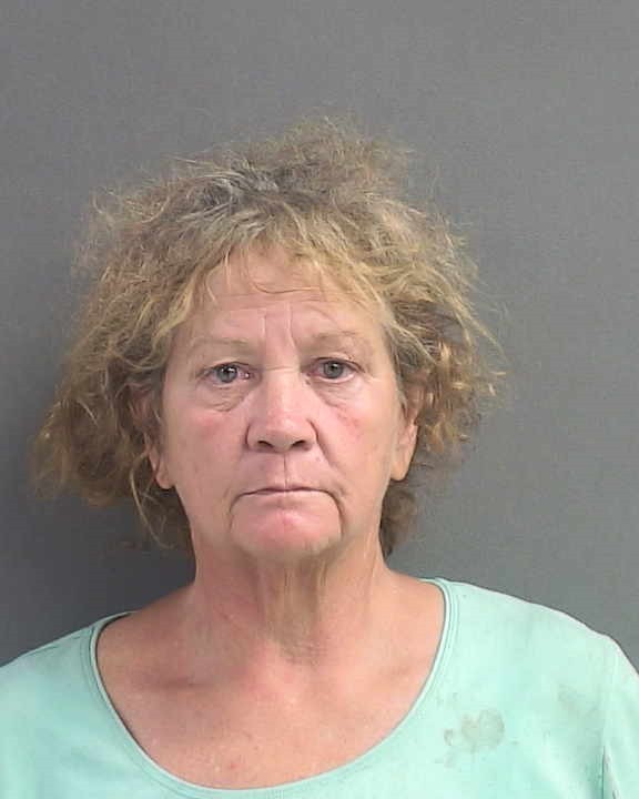 Booking photograph for MELISSA JEWEL BROWN