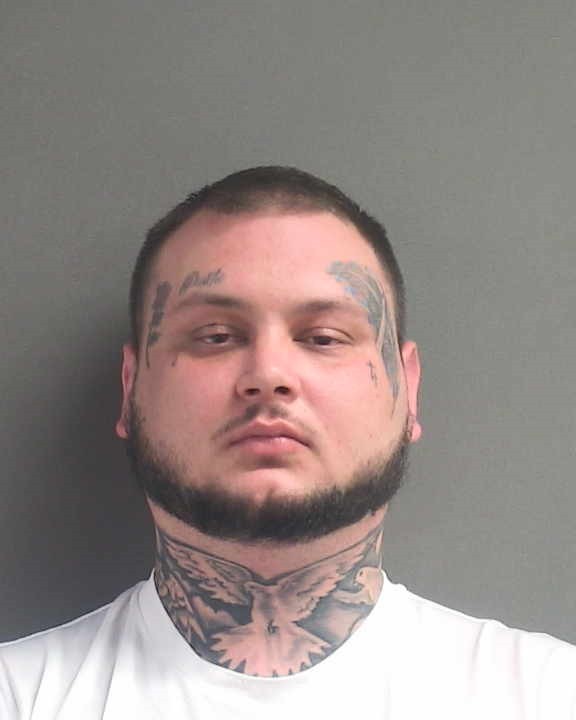 Booking photograph for DAKOTA RILAND CAREY