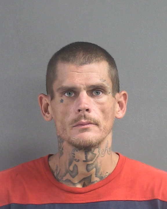 Booking photograph for JOSHUA ALLEN REED