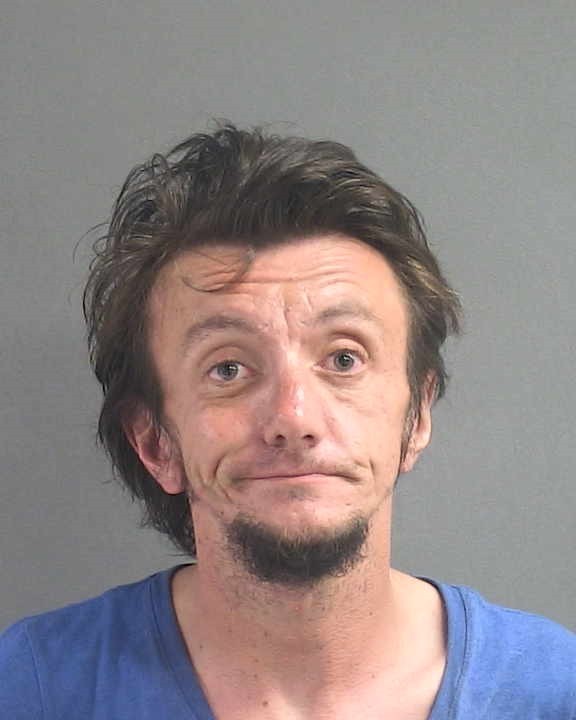 Booking photograph for TRAVIS T HENVILLE