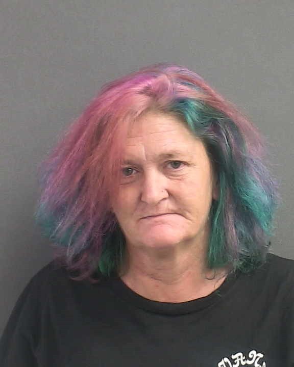 Booking photograph for BILLIEJO KOKINOS