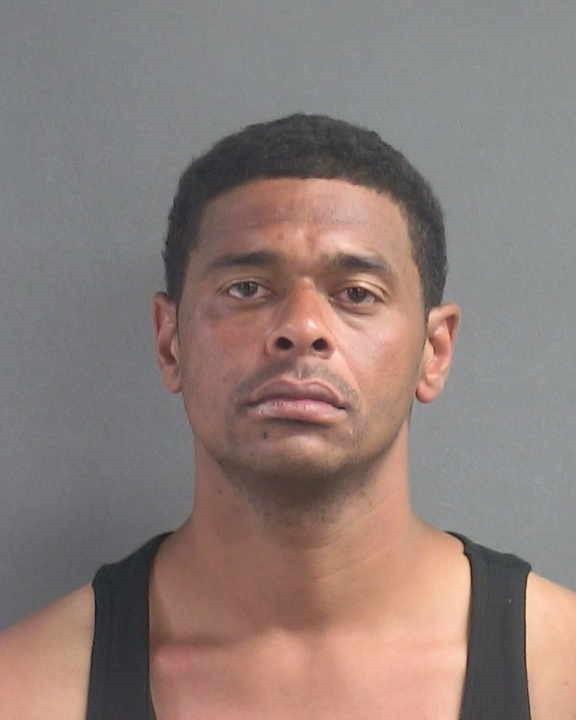 Booking photograph for RAYNELL L WISE
