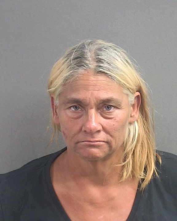 Booking photograph for LAURIE A PAQUETTE