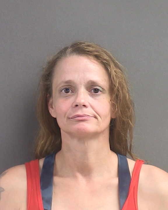 Booking photograph for CYNTHIA MARIE CLEEK