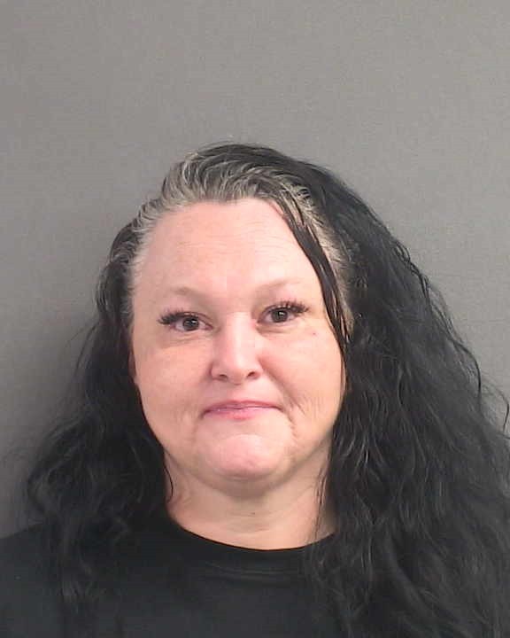 Booking photograph for MELISSA N EVANS