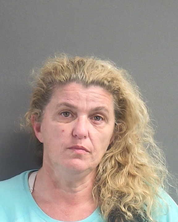 Booking photograph for SUSAN K PHELPS