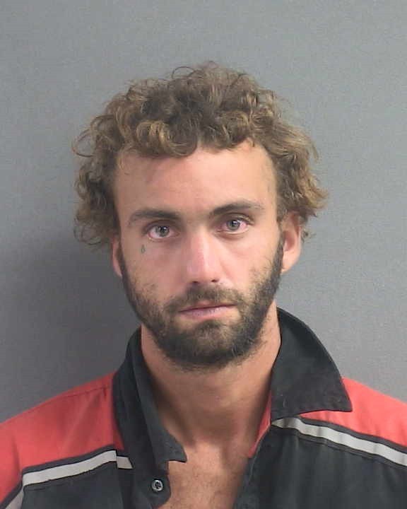 Booking photograph for DOMINIK A SCHWIER