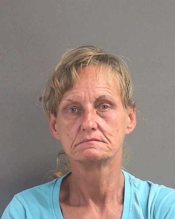 Booking photograph for CAROL DARLENE TOWNSEL
