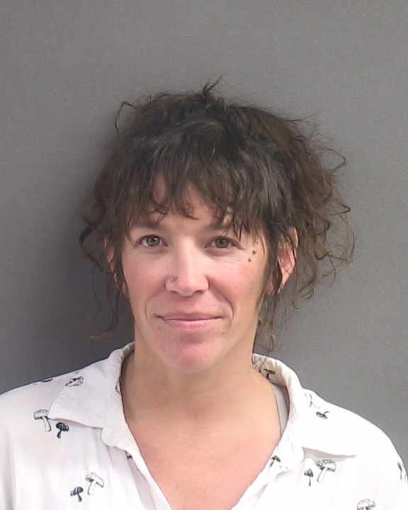 Booking photograph for THERESA J CHRISTOFORE