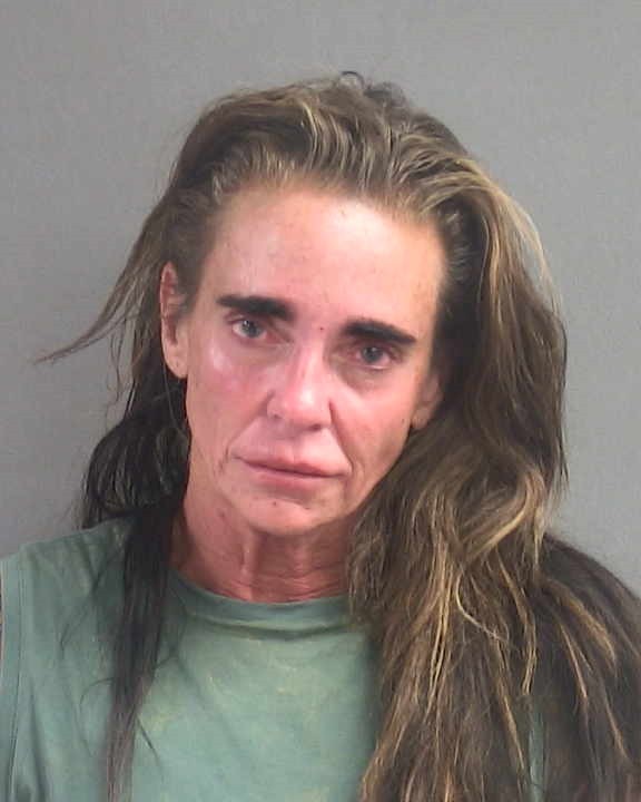 Booking photograph for TERRI LYNN SHACKLE-MOBERLY