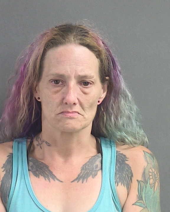 Booking photograph for STEPHANIE ANNE LOOBY