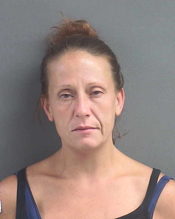 Booking photograph for CHERI MARIE BRANT