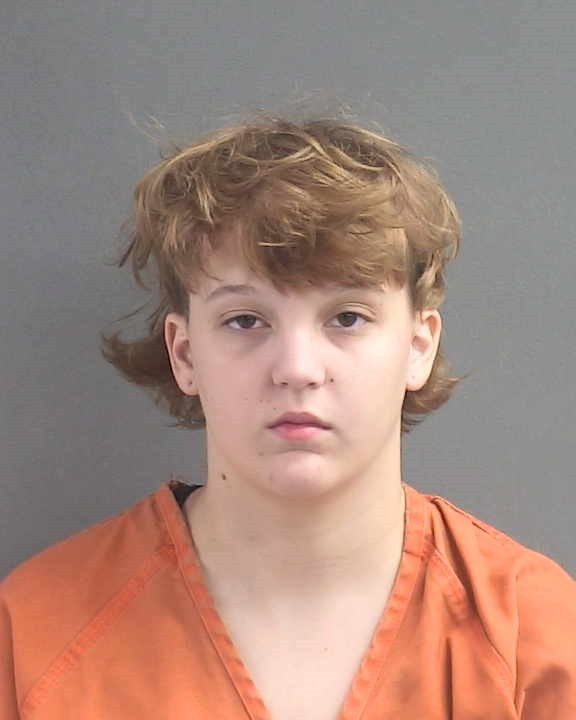 Booking photograph for MADDIE LEAH WARNER