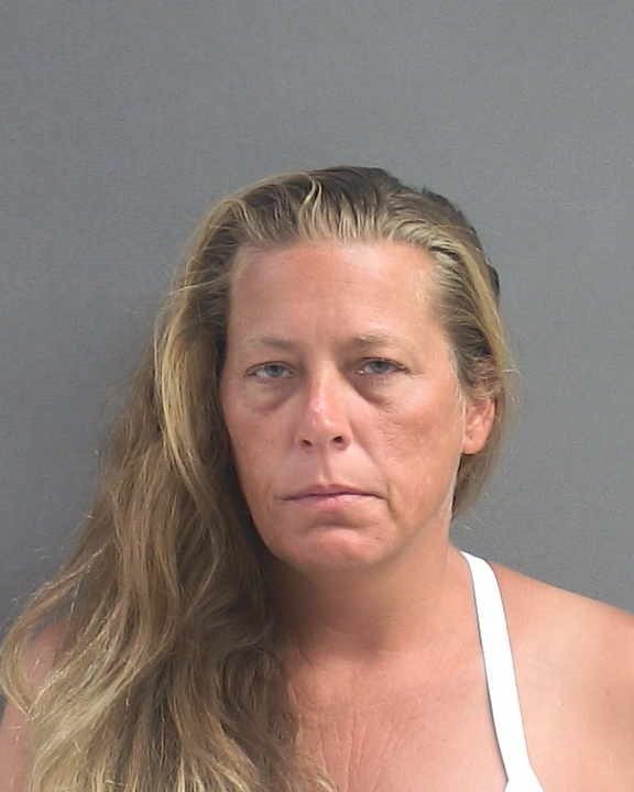 Booking photograph for MELISSA TAMULEVICH