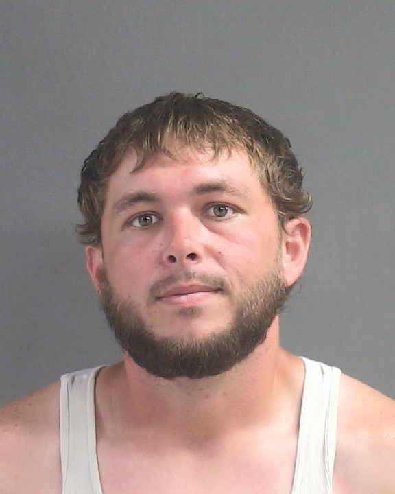 Booking photograph for LOWELL WAYNE DAVIS