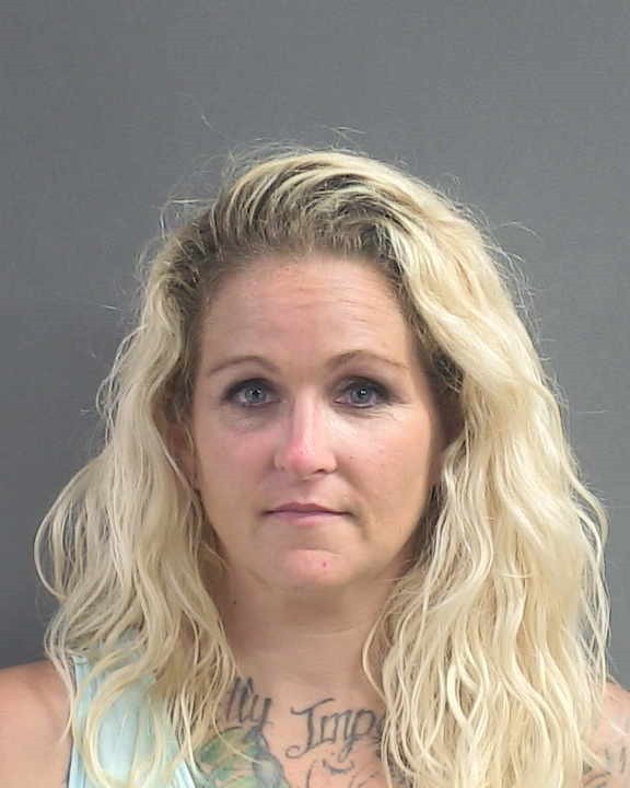Booking photograph for MEGAN JEANNE NETTLES