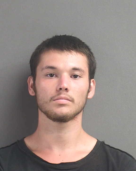Booking photograph for TAYLOR JAMES PELLOW