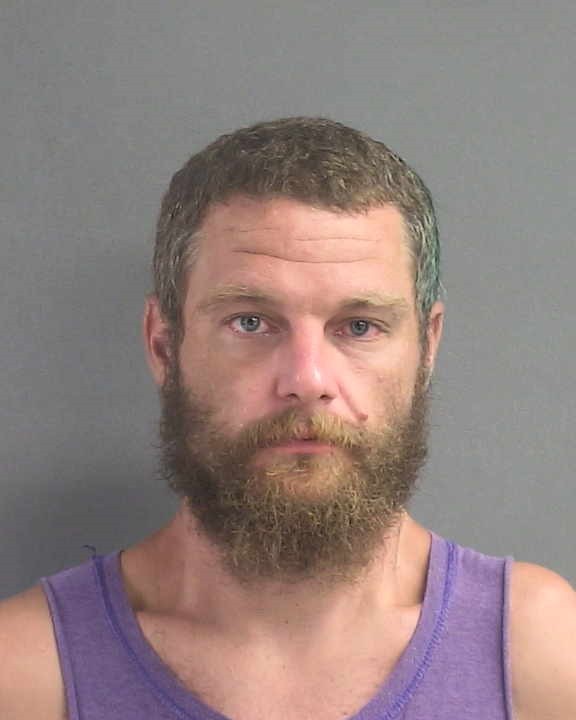 Booking photograph for STEPHEN LEE FREELAND