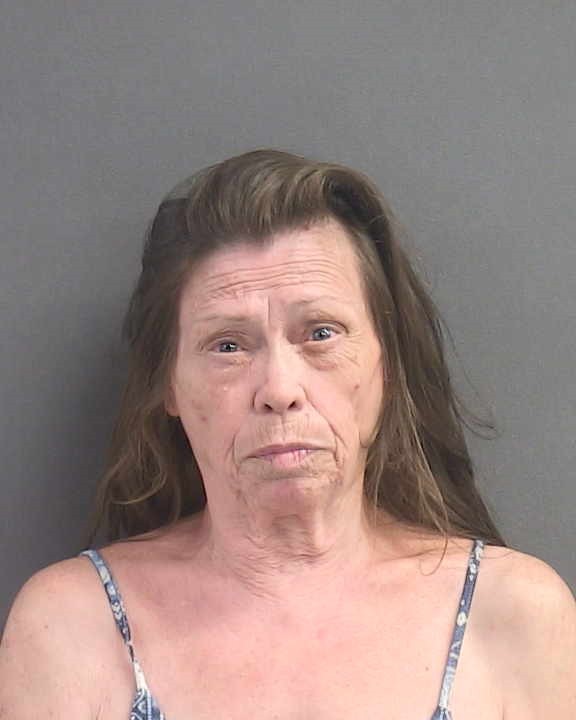 Booking photograph for LAURA M SMALL