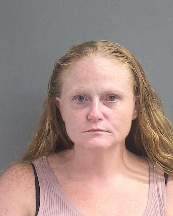 Booking photograph for KRISTA NICOLE HARTIGAN
