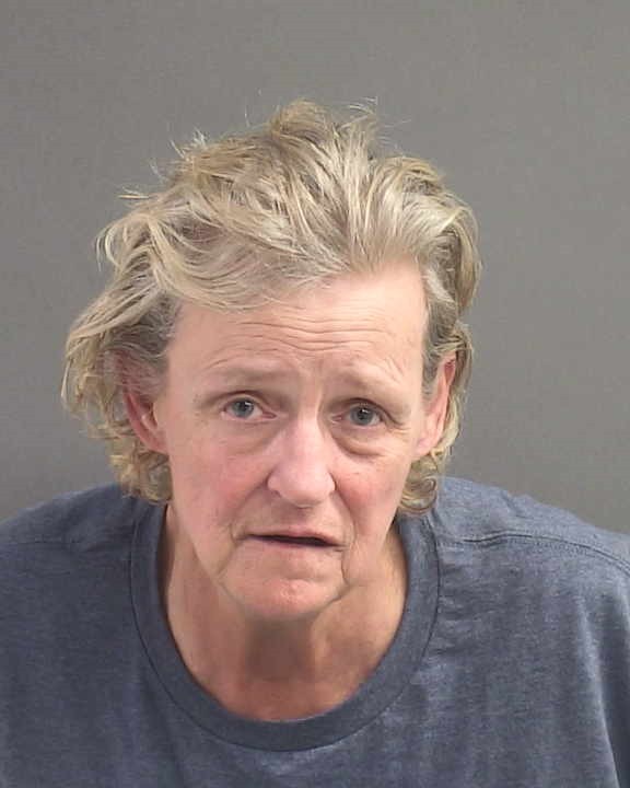 Booking photograph for TRACY ANN BELLOSPIRITO