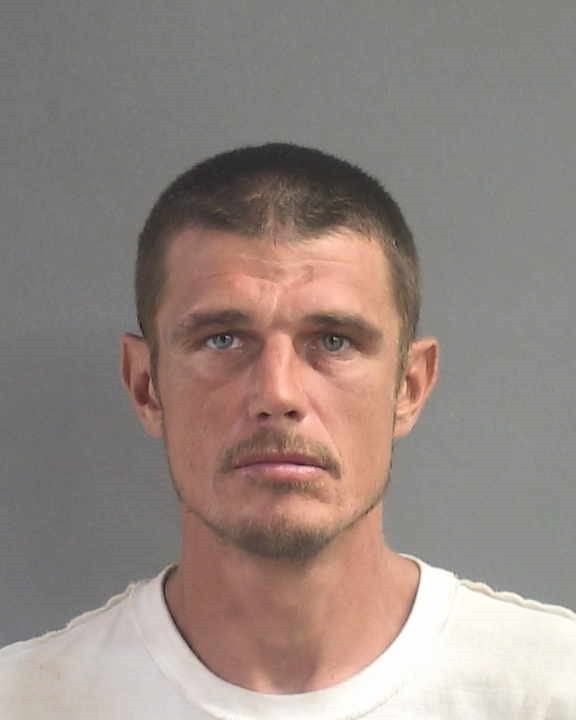 Booking photograph for ROBERT LEE BORISH