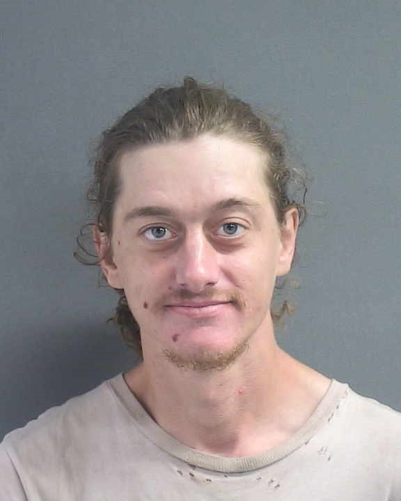 Booking photograph for DILLON R CREAMER