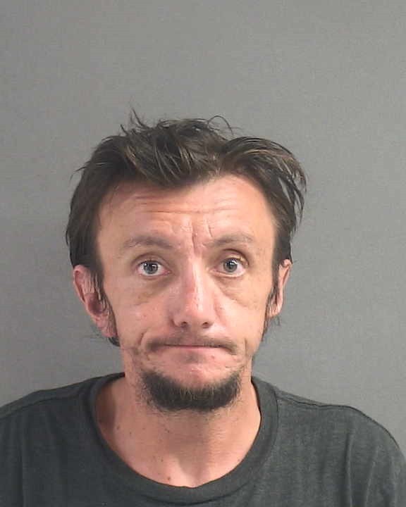 Booking photograph for TRAVIS T HENVILLE
