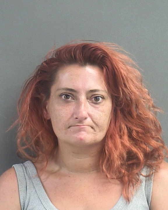 Booking photograph for TINA MARIE COSTA