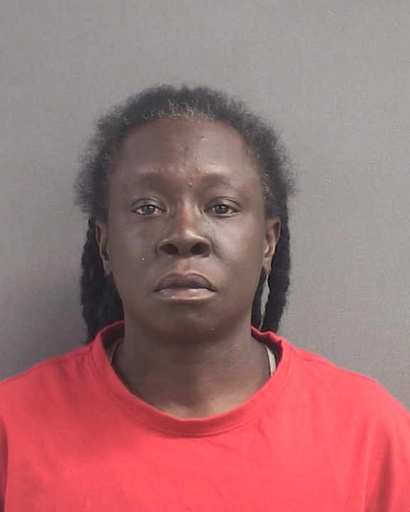 Booking photograph for FREDRICA ELLEN BOYCE