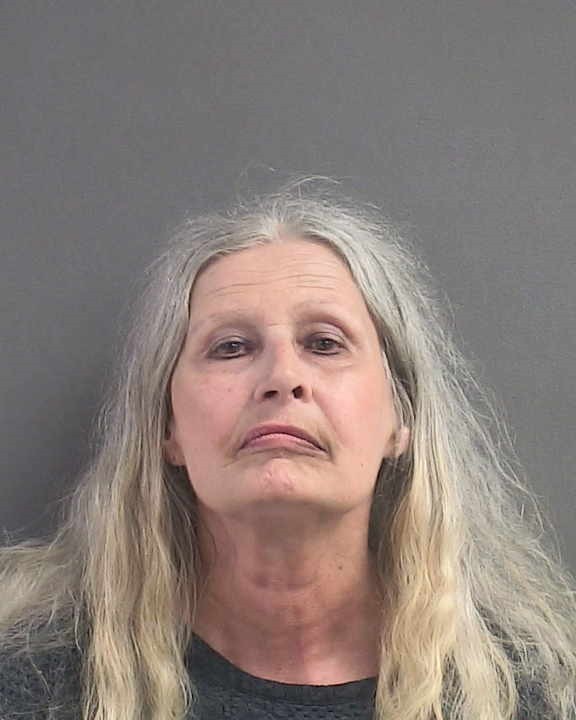 Booking photograph for GAIL SUE LEIGH