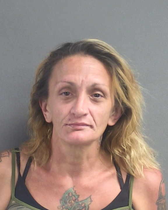 Booking photograph for JESSICA MARIE WISE