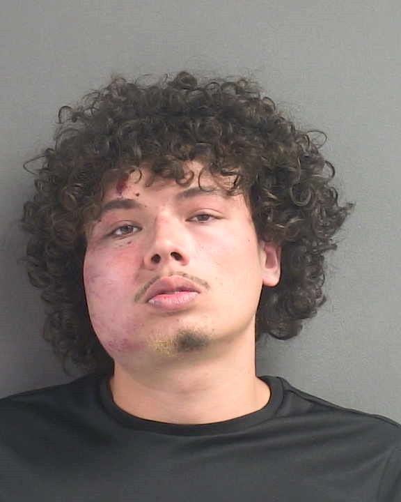 Booking photograph for TYREE D CLARK