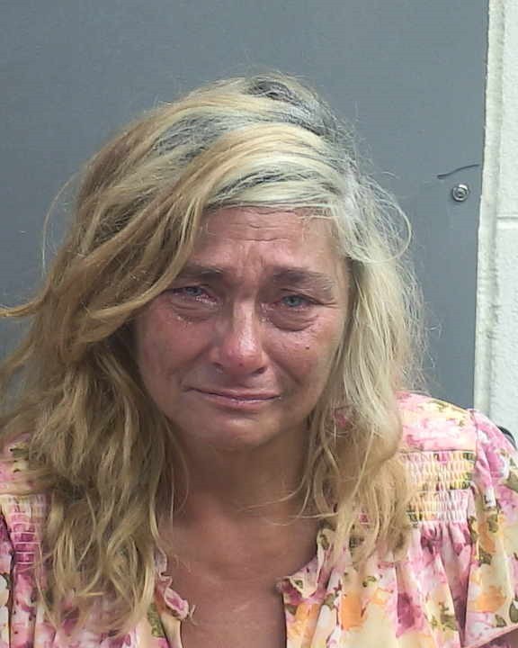 Booking photograph for LAURIE A PAQUETTE