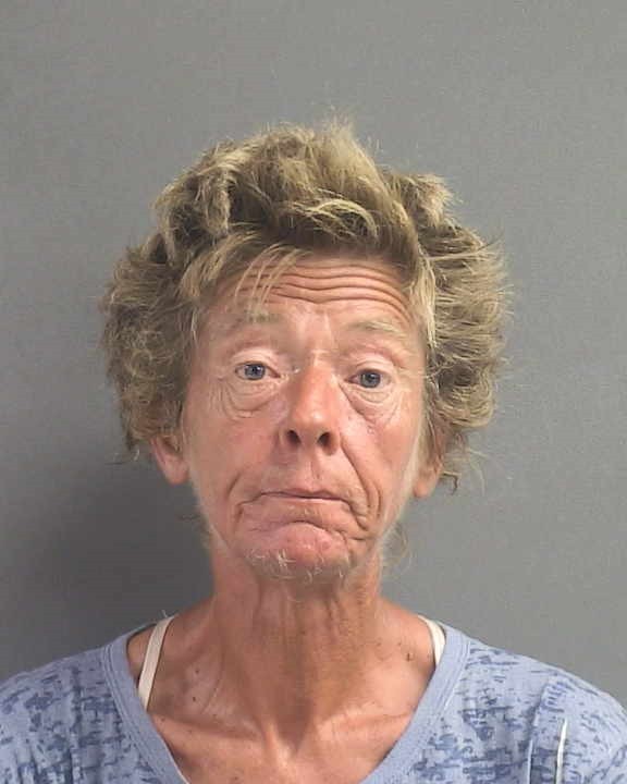 Booking photograph for MIKKI ARENDA FALHOUT